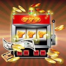 Dashboard permainan winlive88 menampilkan kategori slot, live dealer, dan olahraga